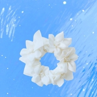 宮崎ちゃんこ都城店　うみ