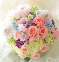 博多方面に戻ります