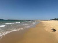 待ちナビ(福岡市) しょう