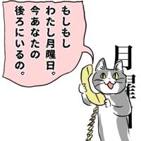 amazing（アメイジング）　ひめか❀