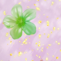 宮崎ちゃんこ都城店　うみ