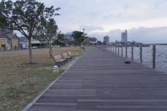 おはようございます〜🏙️