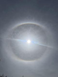 ご主人様いらっしゃい 大分店　神舌ゆい♡最強エロ女