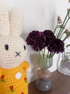 今日も今日とて ??