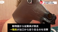 カルバンクライン、ソバージュ
