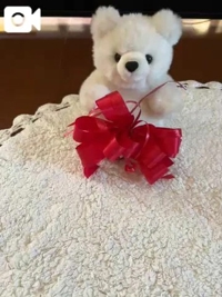 マドンナSANSAIN　しょう