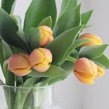 人妻セレブ　真美(まみ)