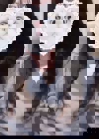 19時から！出勤します(つ･ω･)つ