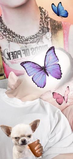 MANIN-ONREIマン淫御礼　聖夏（せいか）エロ過ぎる美女