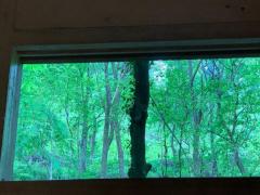 爆安＜元祖＞どすこい倶楽部　しょう子(宮崎店)