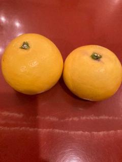 人妻ｒｅ：スタート　【体験】平沢あおい