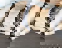 LOHAS(ロハス)　新人ゆづき