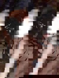 LOHAS(ロハス)　りん