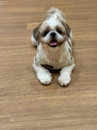 TheGrandPhoenix　ジェイ※爆乳Jカップ