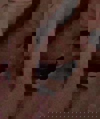 LOHAS(ロハス)　新人あすか