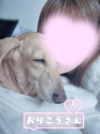 マドンナSANSAIN　ゆず