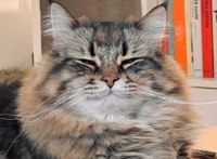 待ちナビ　ひろき