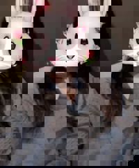 祝日出勤です( ^ ^)(> < )