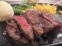 肉食なんです