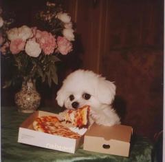 おやすみ！(:3_ヽ)_