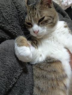 今日も、有難うございます♪