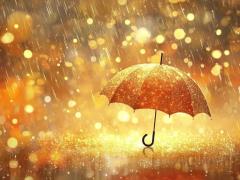 雨ちゃん?