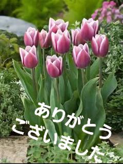 お礼✨️