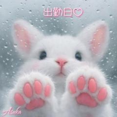 やっと♪