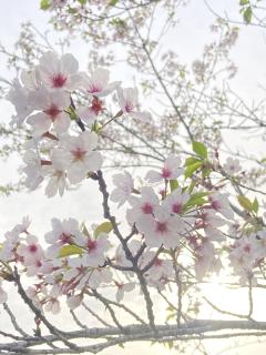今日も出勤♡
