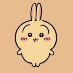月1単身day