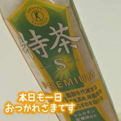お久しぶり?