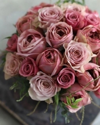 Hello May