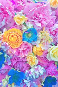 5月