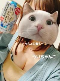 範馬パンティー