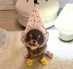 おやすみ?