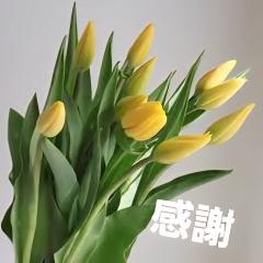 昨日の
お礼🌷