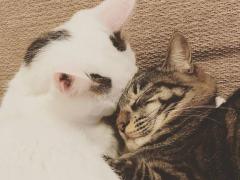 今日、ちゃんと会える人がいいな