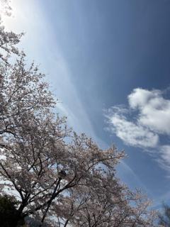 ありがとう??