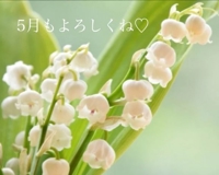 5月