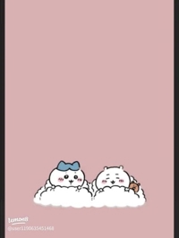 MIYAZAKI SANSAIN　めい（新人♪）
