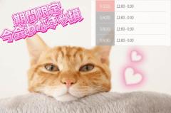 おはよう、もうすぐだね??