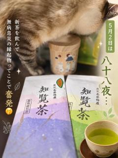 ベビードール　さとみ