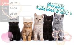 17時、まだ会えるよ?