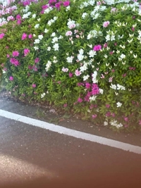 待ちナビ　こころ