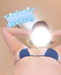 お礼日記ビジホのマイクロニキへ