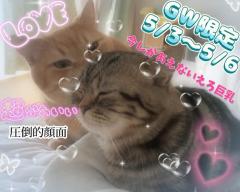 鹿児島天文館デリヘルLOVEVE～ラヴィーヴ～(デリヘル) あずき☆愛嬌◎ぽちゃグラマー嬢☆