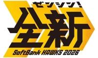 プロ野球、結果