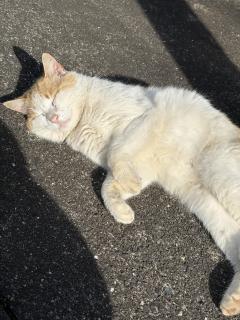 お礼💕