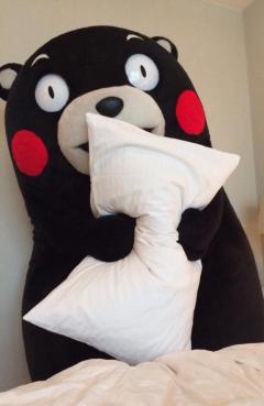 おやすみなさい…???.°