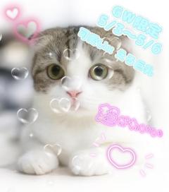 2時、まだ余韻あるまま?